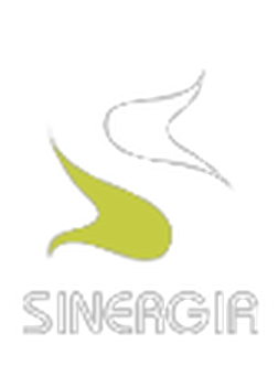Sinergia Estudio Creativo